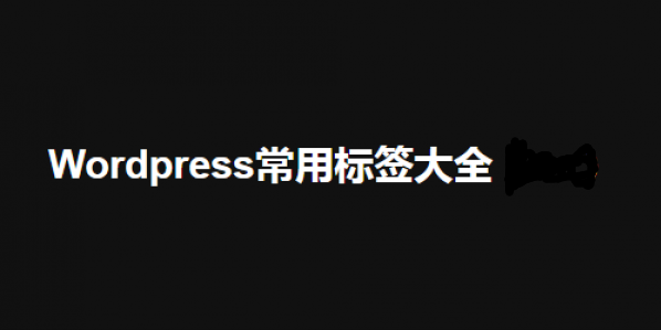 【WordPress】WordPress标签大全—Michael王朝