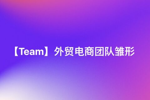【Team】外贸电商团队雏形